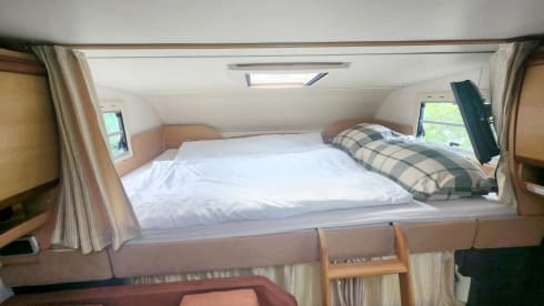 Rolli  – Rolli rolls :-)