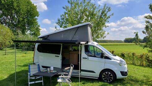 Ford-Campingbus für 4 Personen, Baujahr 2026
