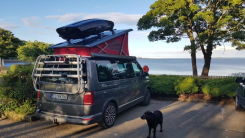 California  – Compacte camper waar je overal mee naartoe kan