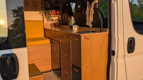 Honey – Compacte én complete Selfbuilt Van