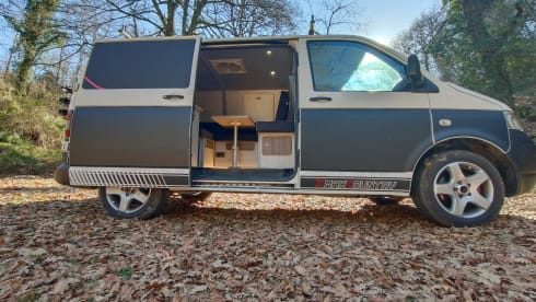 Vanity Van Fabulous T5