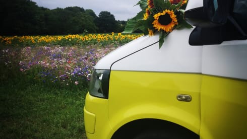 Daisy – 4 berth Volkswagen Camper Van (newly converted 2022)