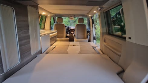 Zilveren Zwerver – Volkswagen camper (2018) - automatic 