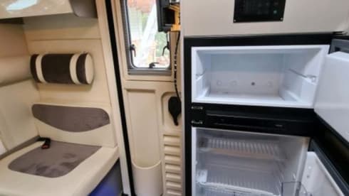 Elina – Ahorn Canada AE