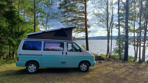 Jente – 4p Westfalia T4 campervan with lifting roof