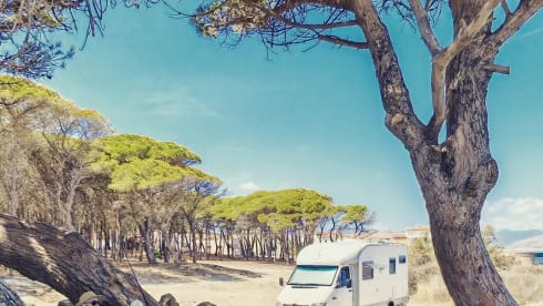 Camper semintegrale ARCA Mercedes