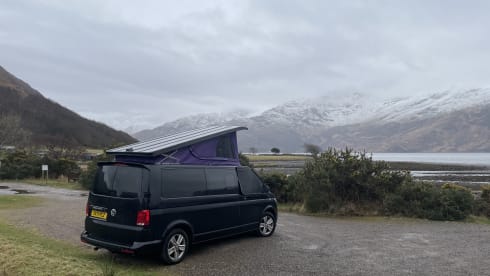 Lily – Lily - T6.1 Adventure Transporter