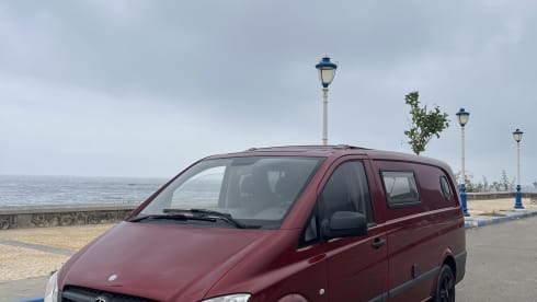 Vita – 2p Mercedes-Benz bus from 2014
