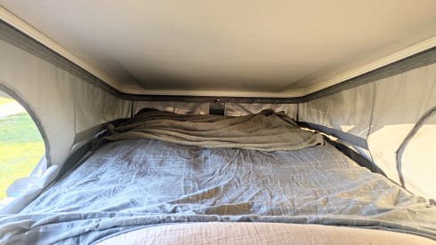 4p Benimar bus uit 2025