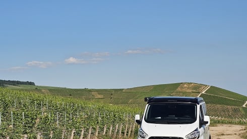 ROSA – Ford-Campingbus für 4 Personen, Baujahr 2023