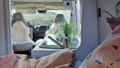 4p Pössl rooftop uit 2025