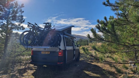 Dolomiti – 4p Volkswagen bus from 2017