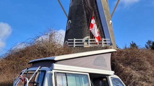 Coconut – 4p Volkswagen Westfalia California from 1991