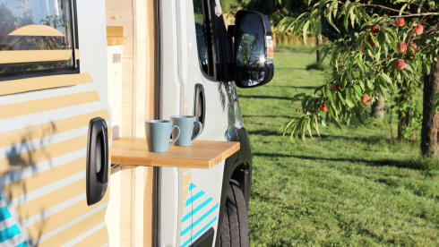 VAN bergen – Schön gestalteter Allround-Camper mit viel Platz im Innenraum