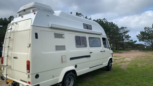 Migaloo (Burgau, Lagos, Algarve, Portugal)