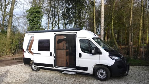 X-790-VR – 3p Other bus from 2022