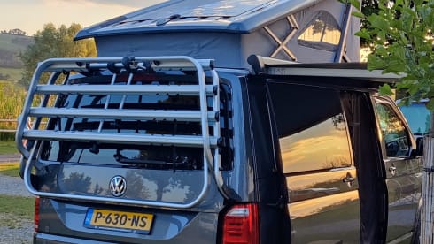 Déesse – VWCalifornia Ocean