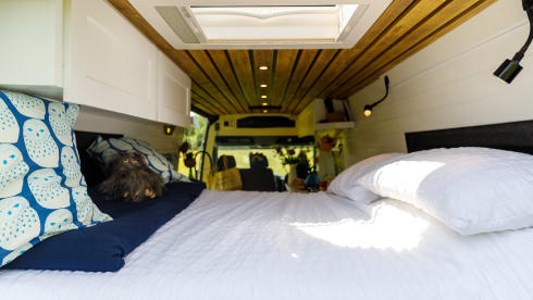 Hoots – 2 berth Volkswagen campervan from 2016