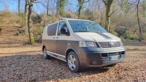 Vanity Van Fabulous T5