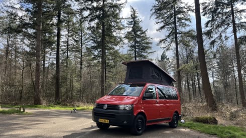 Red adventure  – 2p Volkswagen bus uit 2015