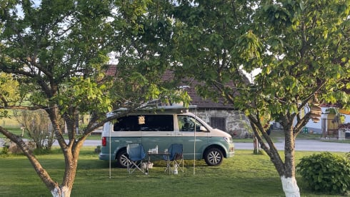 4p Volkswagen campervan uit 2019