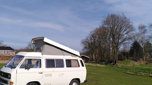 Zwaantje – 4p Volkswagen campervan from 1982