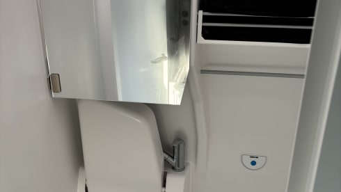 Grote beer – 4p Volkswagen campervan from 2022