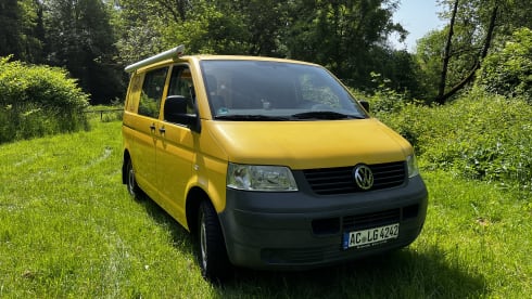 Pippin – VW T5 Postbus 