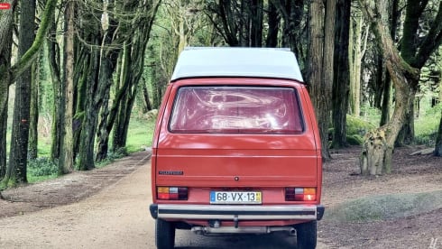 Cherry – Volkswagen Westfalia T3 Combi