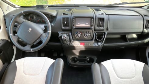 Holly – 2p Other semi-integrated from 2020