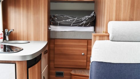 Sycamore – are you ready to explore!