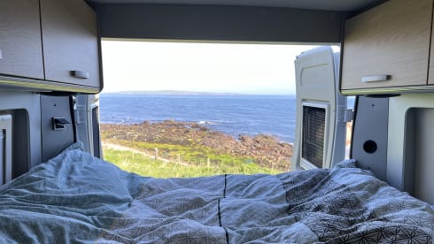 Freedom – Hymer camper bus Free 600 year 2018
