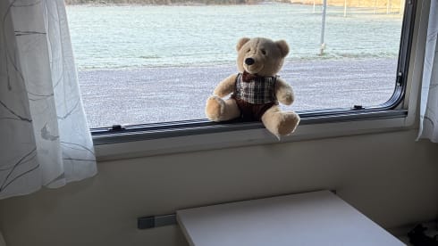 Harold – 6p Rimor seal 5 alcove uit 2025