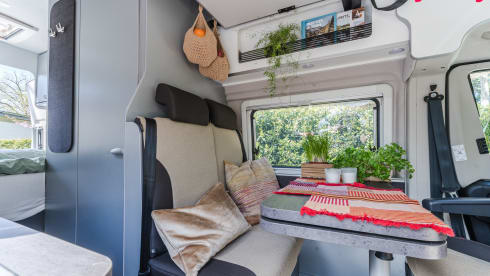 Easyrider – Autobus Weinsberg da 4 persone del 2024