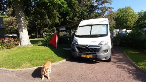 Nice Pössl camper van with comfortable bed