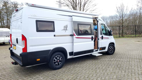 Rapido – 3p Fiat bus from 2020