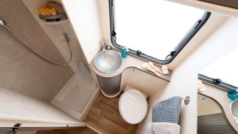 Ahörnchen – Maple Eco683 