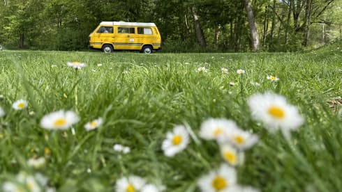Joker – 4p Volkswagen campervan from 1980