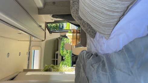 Brand new Ford bus from 2023