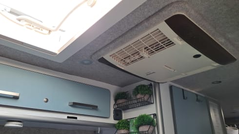 The Roving Badger – 2 Berth Peugeot  Boxer  LWB High Roof 2018 