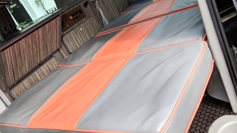 Bongo – Voor alle beginnende bongonauten