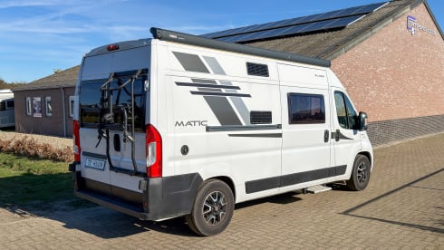 Witte Vlegel – Mclouis Menfys Matic 