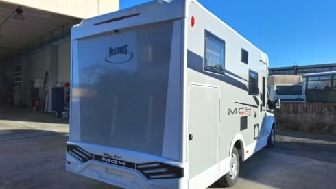 Mc4 - 339 – MCLOUIS MC4 339