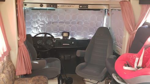 Dolores – Führerschein c1 - Machen Sie Ihren Auftritt mit unseren coolen Dolores!