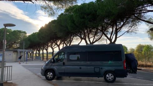 CaRo – 4p Pilote bus from 2018 (2 to 3 people)