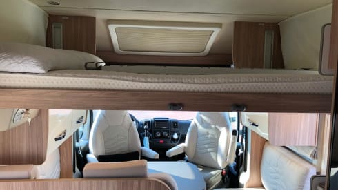 Mik – Bustner Delfin