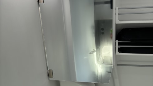 Grote beer – 4p Volkswagen campervan from 2022