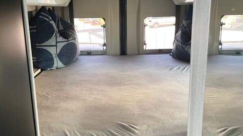 Rollerteam Livingstone Duo Xl