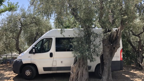 Billy – On an adventure with our converted camper bus (Fiat Ducato 2013 3p))