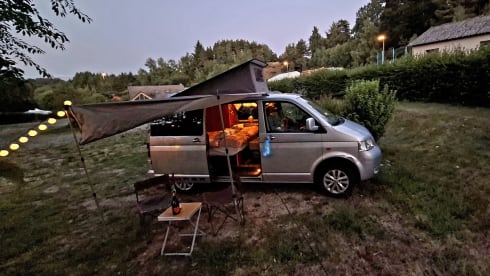 Silverfox – Combi Volkswagen 2 places de 2007
